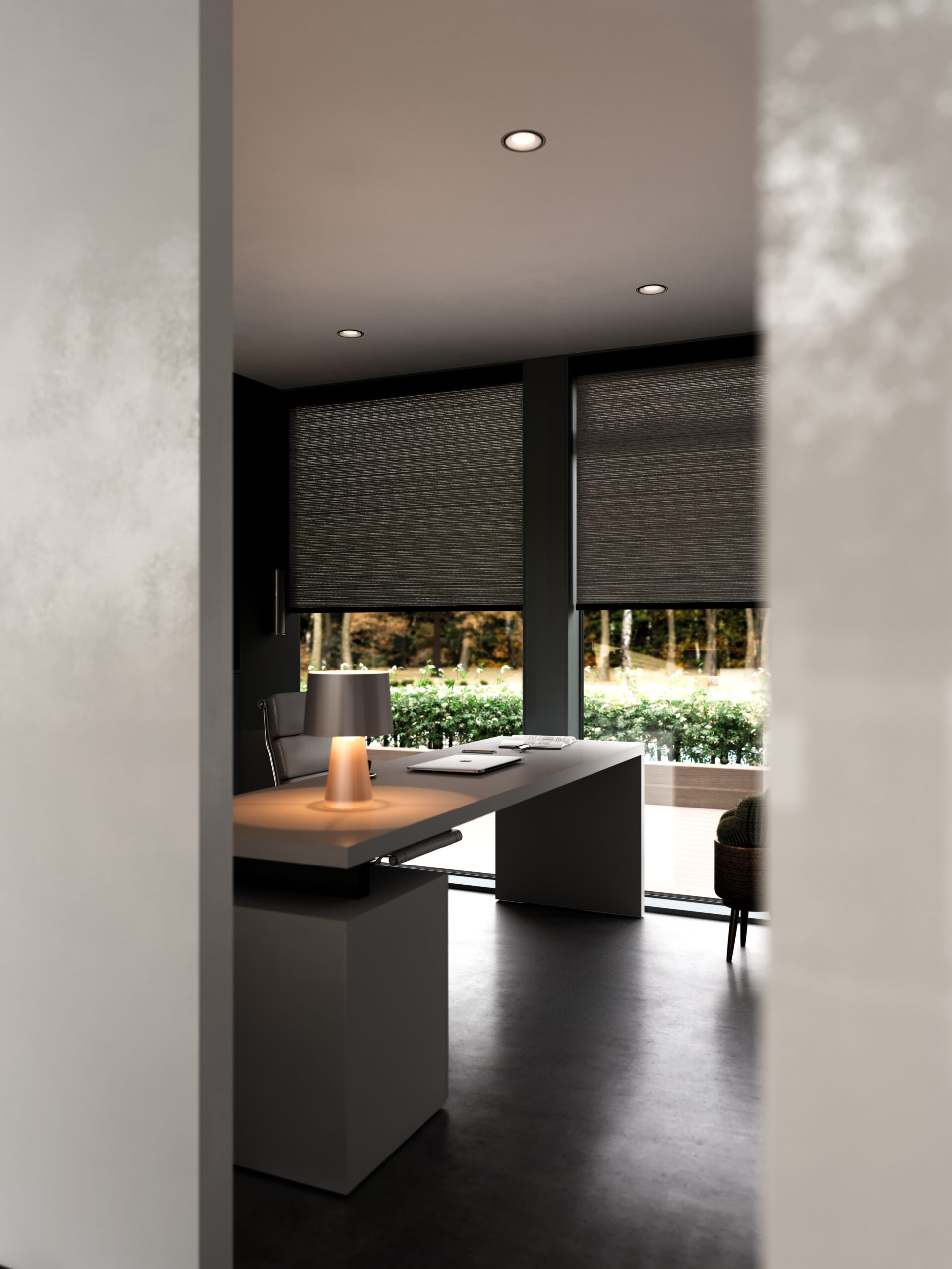 S_04_Cam_01_Blinds_v2